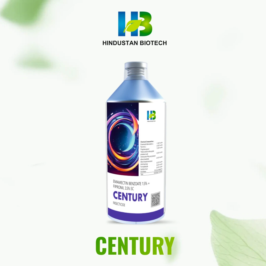 century    