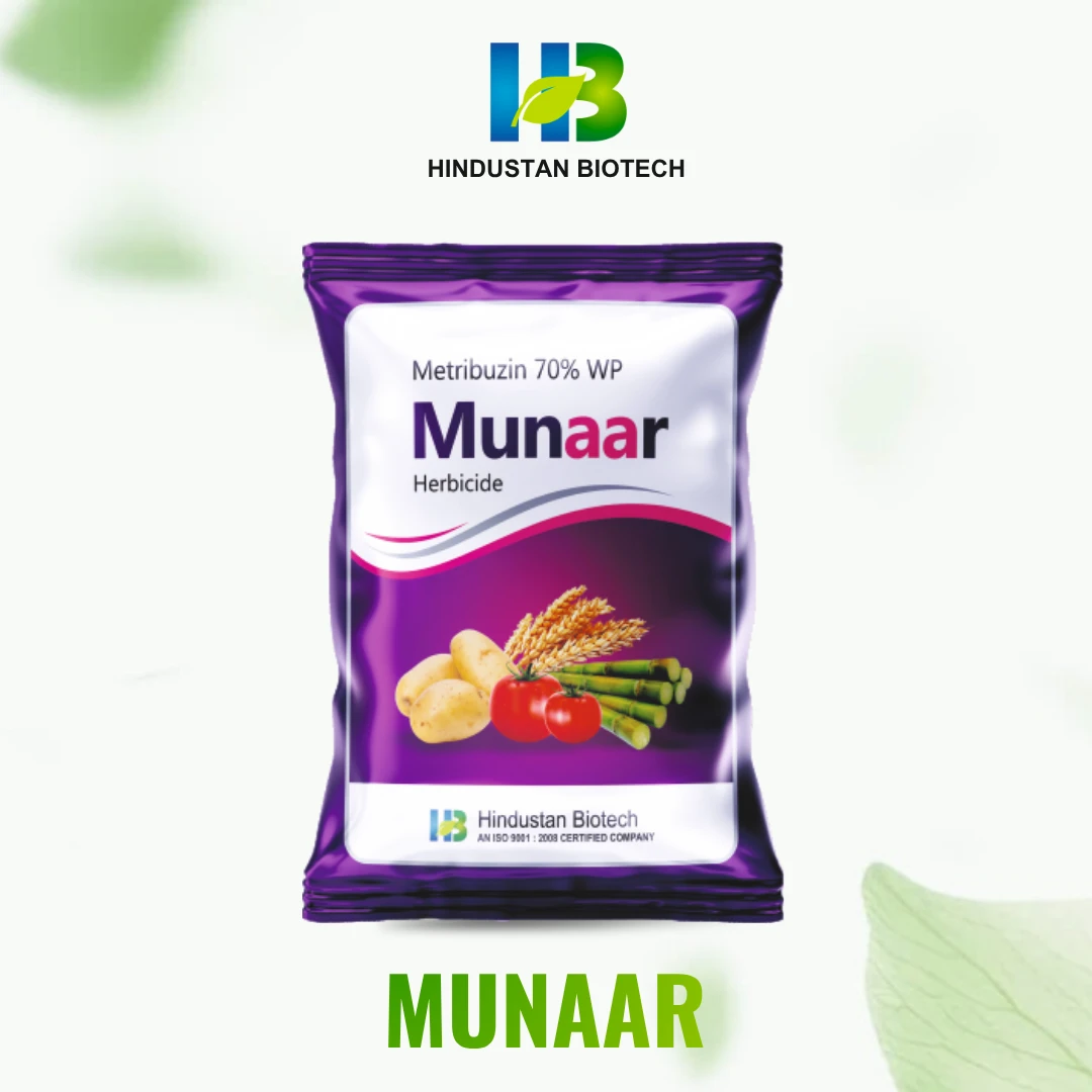 munaar