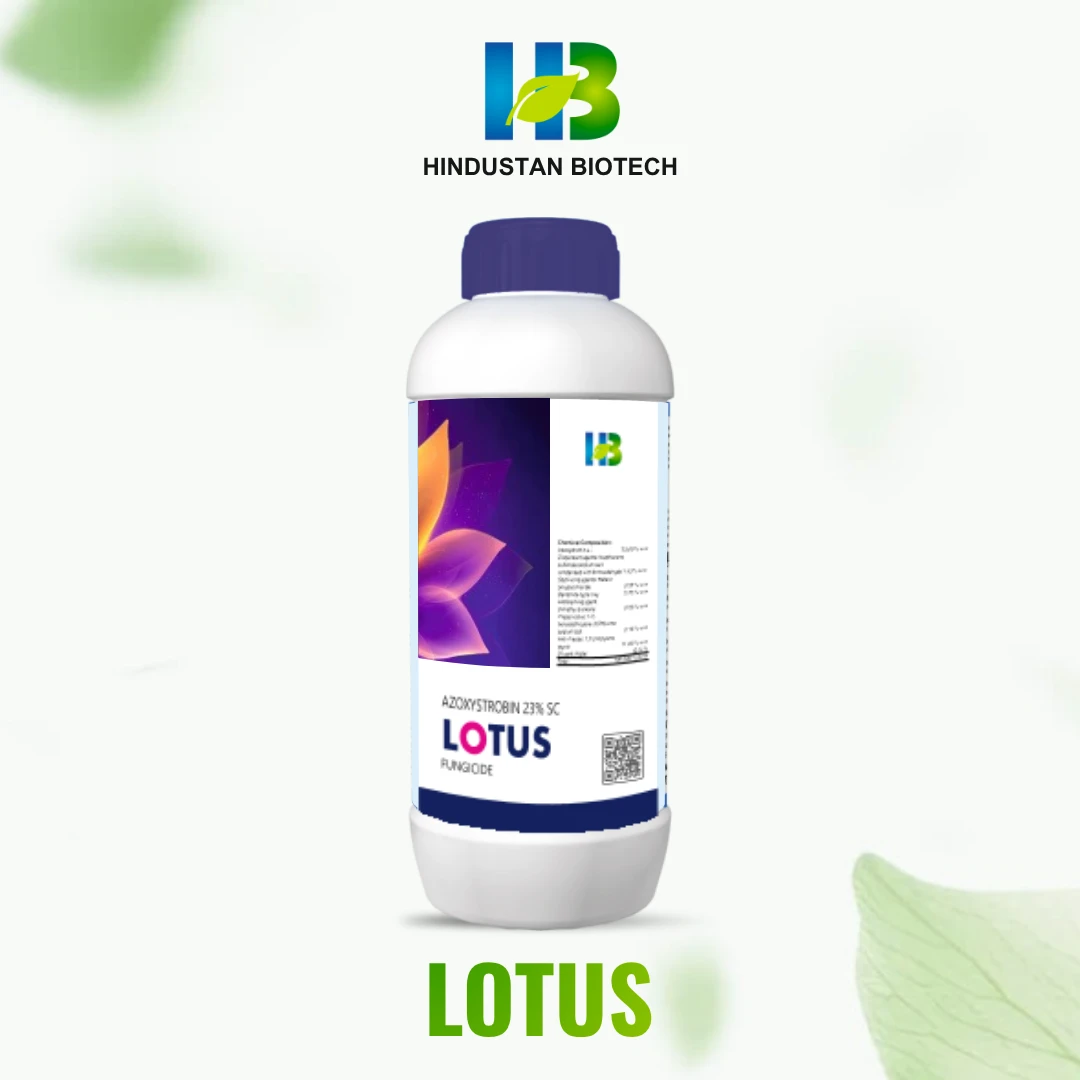 lotus
