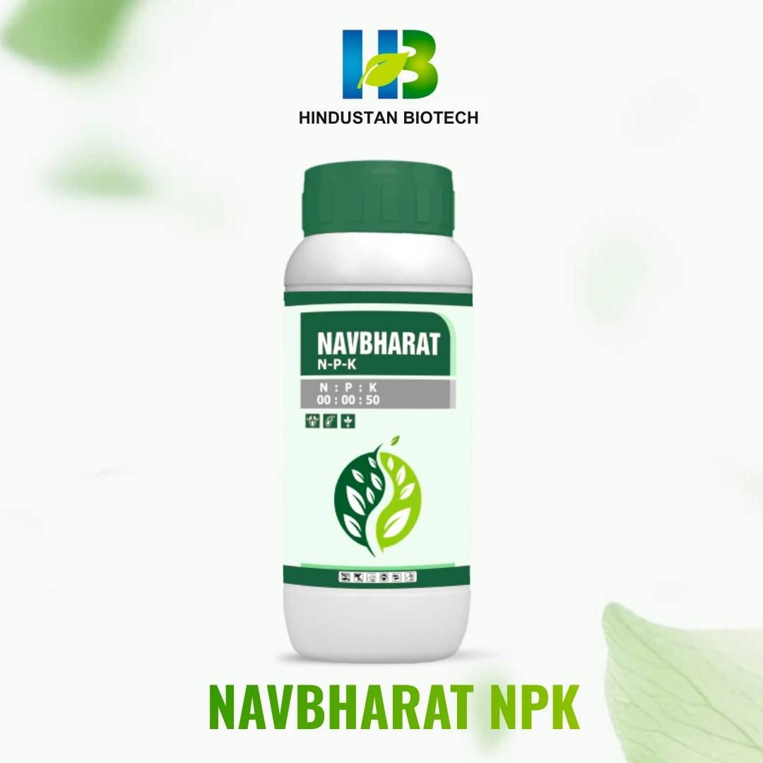 navbharat NPK 00:00:50