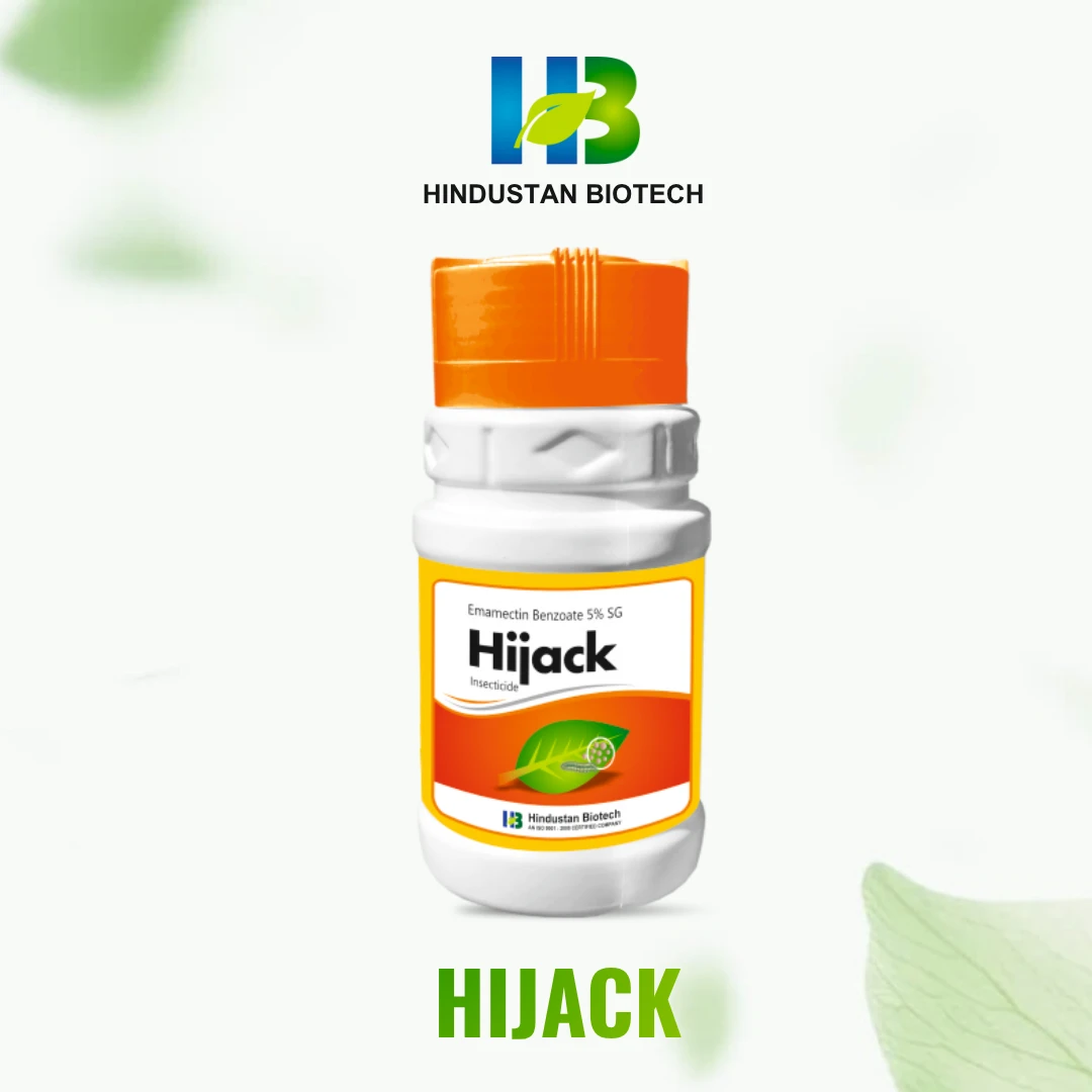  Hijack    