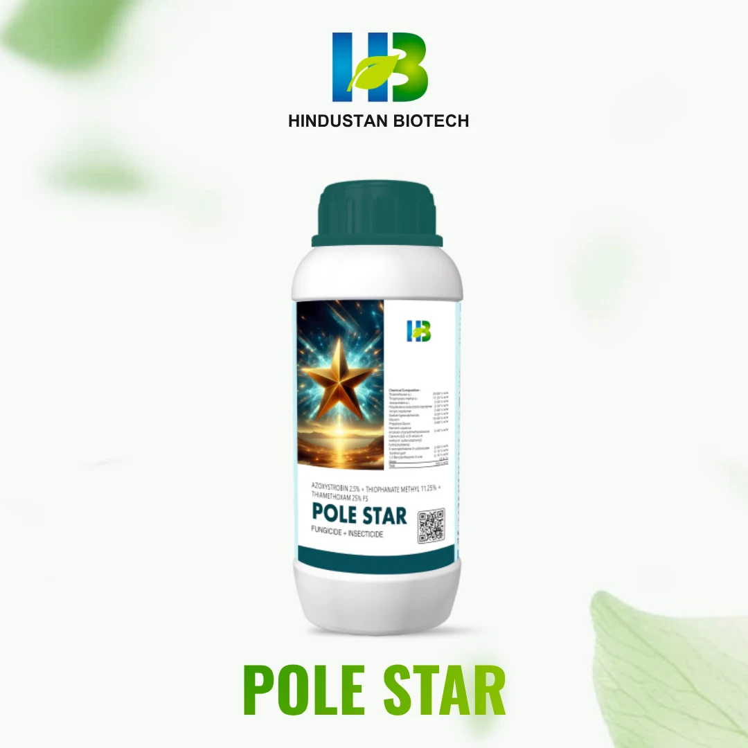 pole star