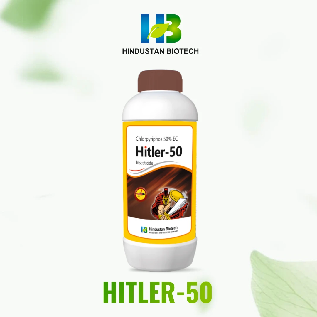 hitler-50